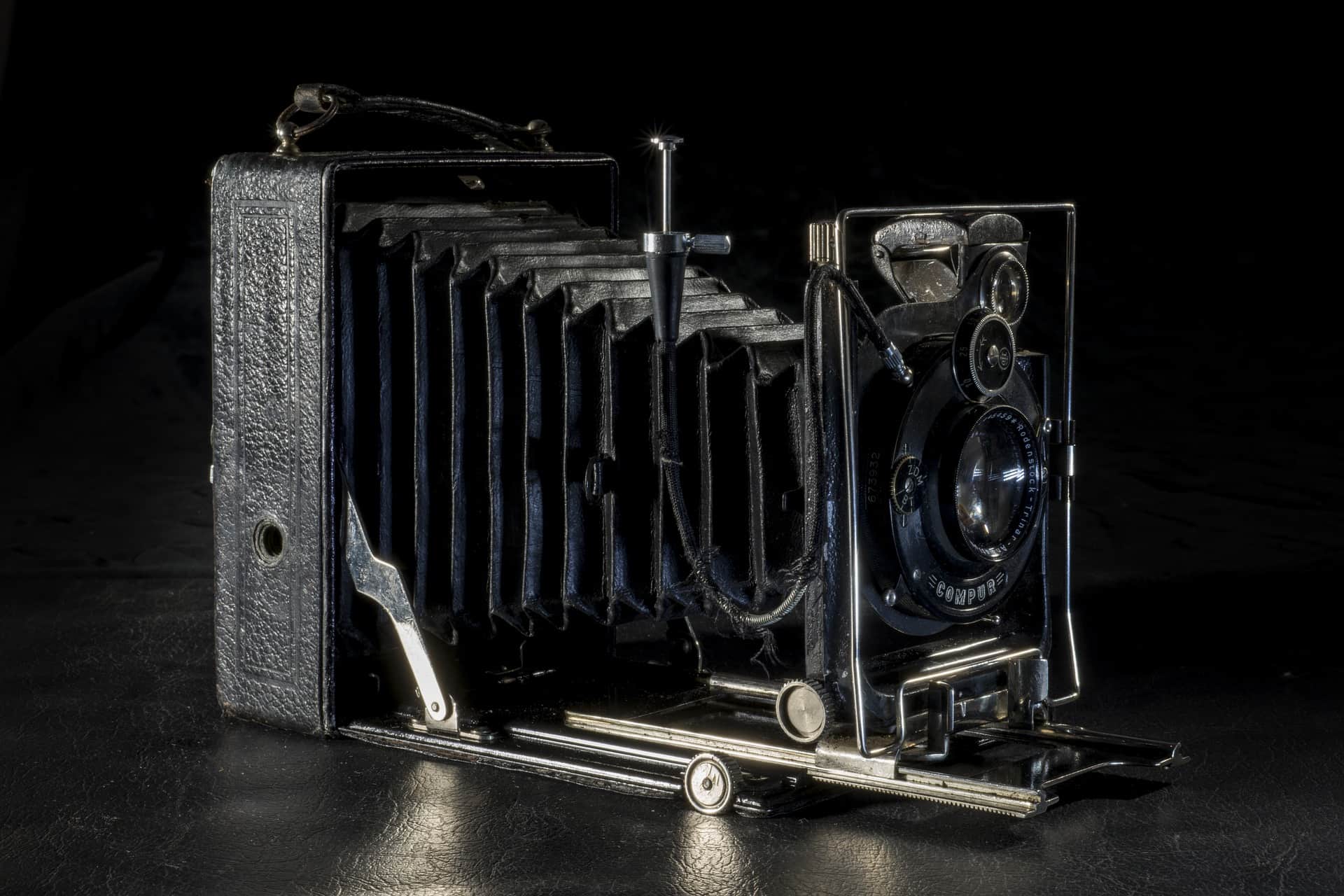 Die Makrofotografie – historische Entwicklung, technische Umsetzung und beliebte Motive 